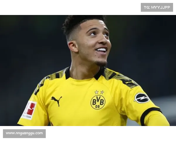 如何全面了解杰登桑乔的个人职业生涯与发展历程